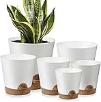Indoor Self Watering Planters with Drainage Holes and Saucers, 8, 7, 6.5, 6, 5.5, 5 Inches, White, 6 Pots