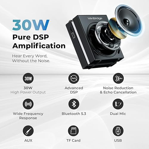 Miniatura 2 de WinBridge S91 Amplificador de voz y máquina de karaoke, sistema PA portátil de 30 W con 2 micrófonos inalámbricos, altavoz Bluetooth de sonido claro