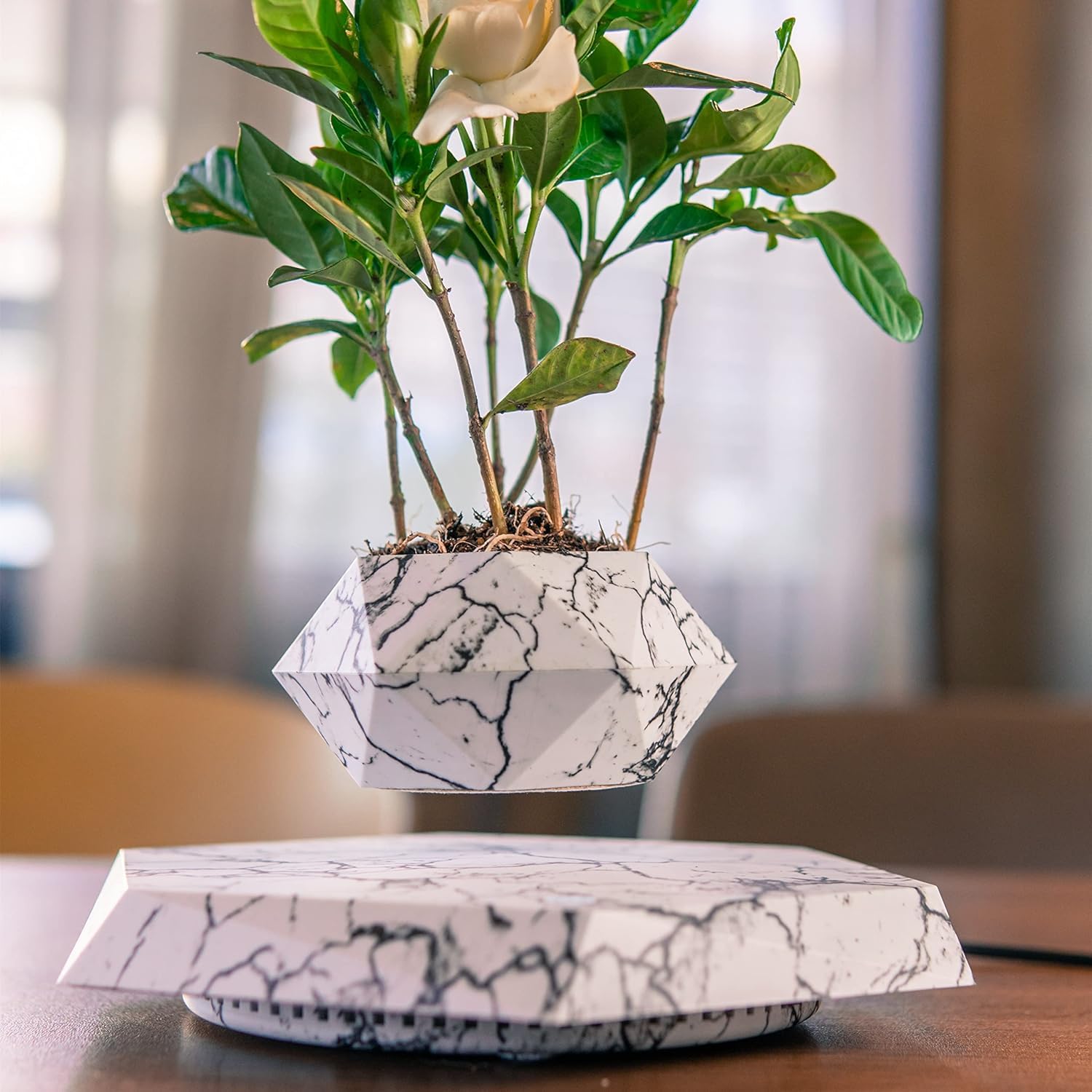 See full amazon price history chart for DigaNT Floating Levitating Rotating Plant Pot, Sparkling White | Perfect Bonsai Planter | Unique Precious Lavish Gift and Decor Item DigaNT Floating Levitating Rotating Plant Pot, Sparkling White | Perfect Bonsai Planter | Unique Precious Lavish Gift and Decor Item (B0DGKYMG8V) Amazon Price History, Amazon Price Tracker