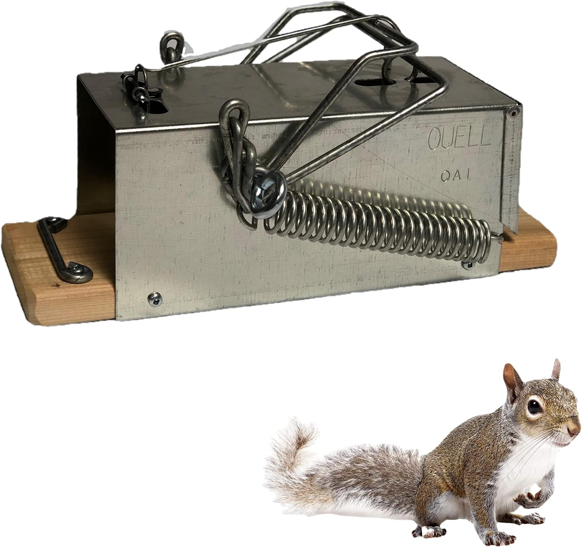 PIEGES OUELL TRAPS Squirrel Outdoor (Big)