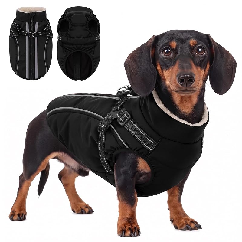 Casaco de Inverno para Cães com Peitoral Integrado KAMA BRIDAL Preto, Tamanho M