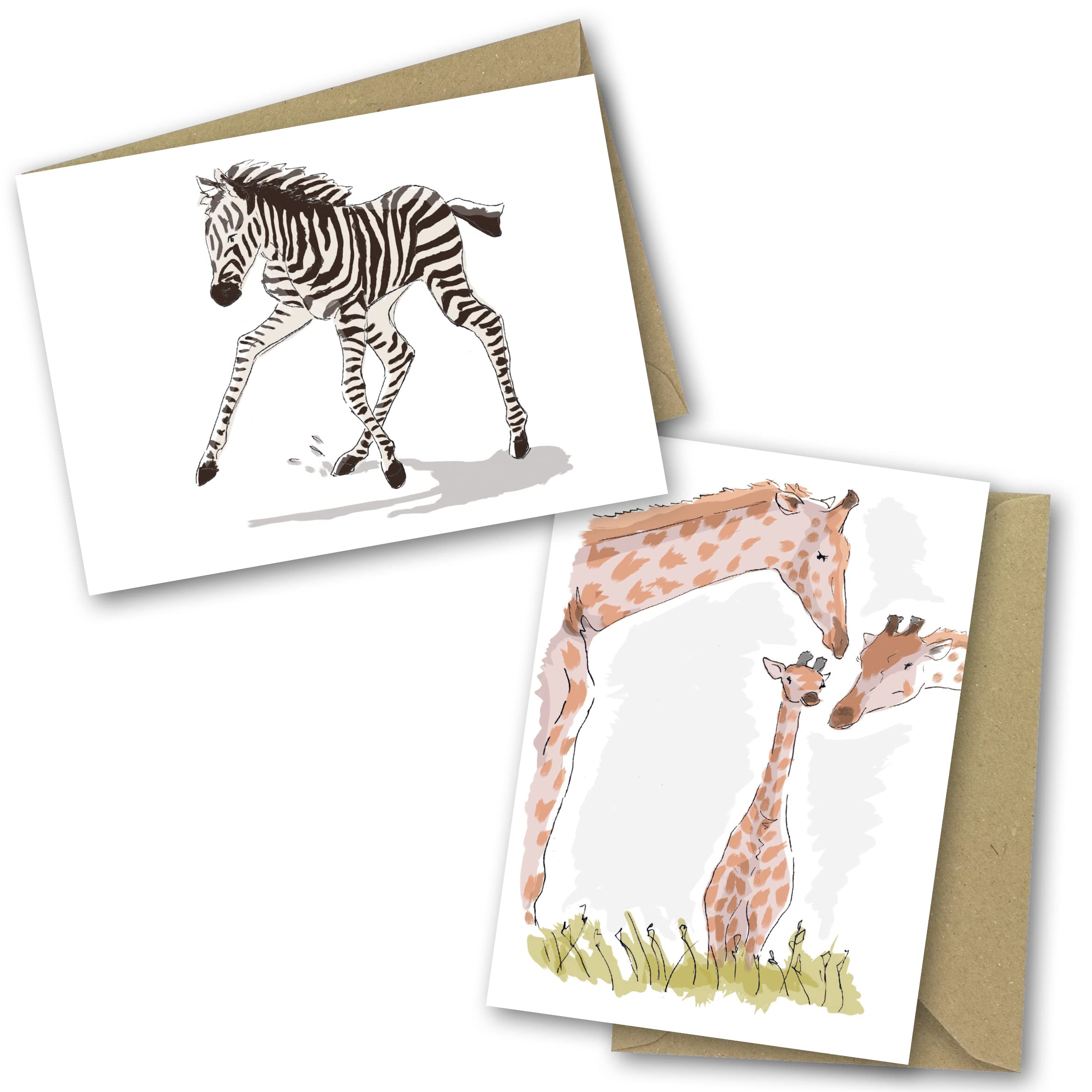 Greetings Cards for All Occasions. 24 Pack Includes 6 Animal Designs. Ecofriendly Cards, Envelopes and Box. Blank Inside. (24 Pack) - Image 2