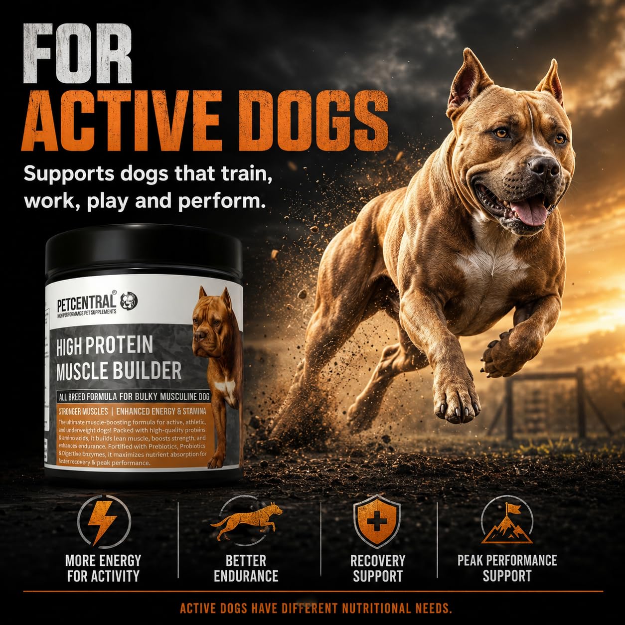 High-Protein Muscle Builder for Dogs 450g | Whey Protein & Amino Acid Supplement Powder | Supports Lean Muscle, Strength, Stamina & Recovery | Chicken Flavour | for Puppies & Adult Dogs — Amazon image 9