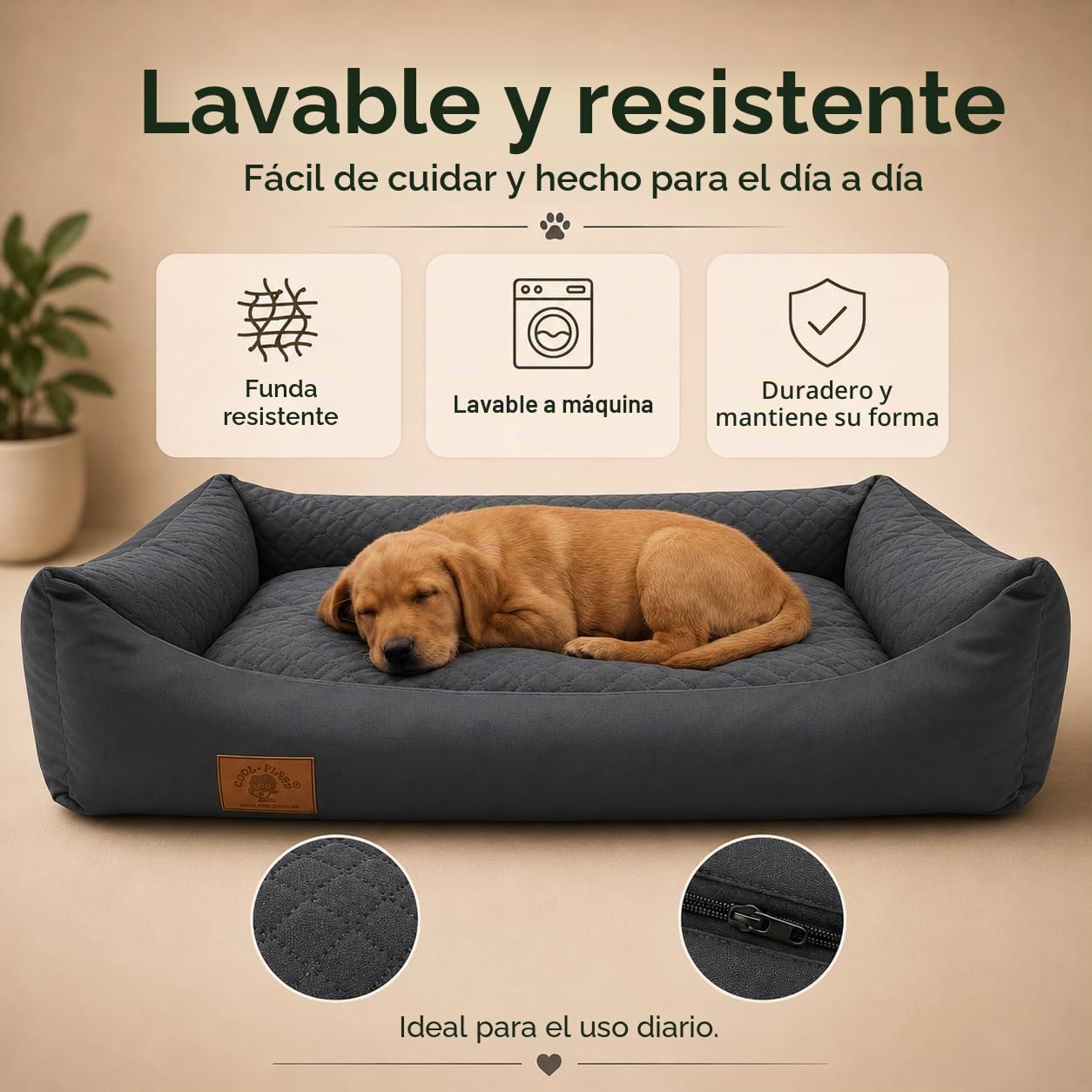 Odolplusz Cama XXL para perro con cojín reversible (tamaños y colores a elegir)