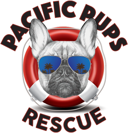 Pacific Pups Products for Dogs 18 Piece Dog Toy Set with Dog Chew Toys, Rope Toys for Dogs, Plush Dog Toys and Dog Treat… - Image 8