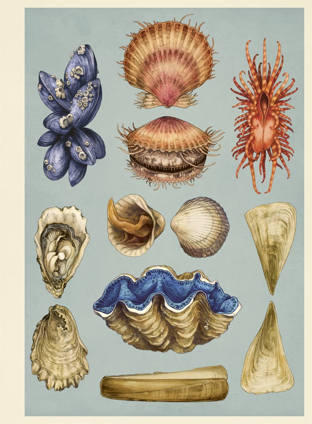 Oceanarium Poster Book: by Loveday Trinick and illustrator Teagan White