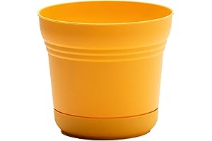 Bloem Saturn 10-Inch Earthy Yellow Plastic Planter