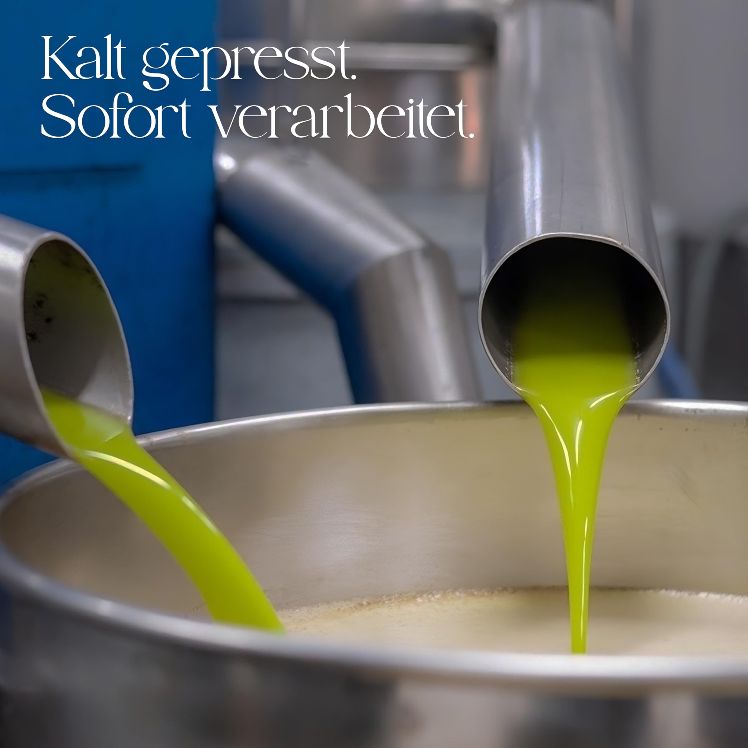 Eglianos Extra Natives Olivenöl - Griechisches Olivenöl 5 Liter kaltgepresst - reich an Polyphenolen - Kalamata Olivenöl in Premium Qualität - Koroneiki Oliven - Kaltextraktion - niedriger Säuregehalt
