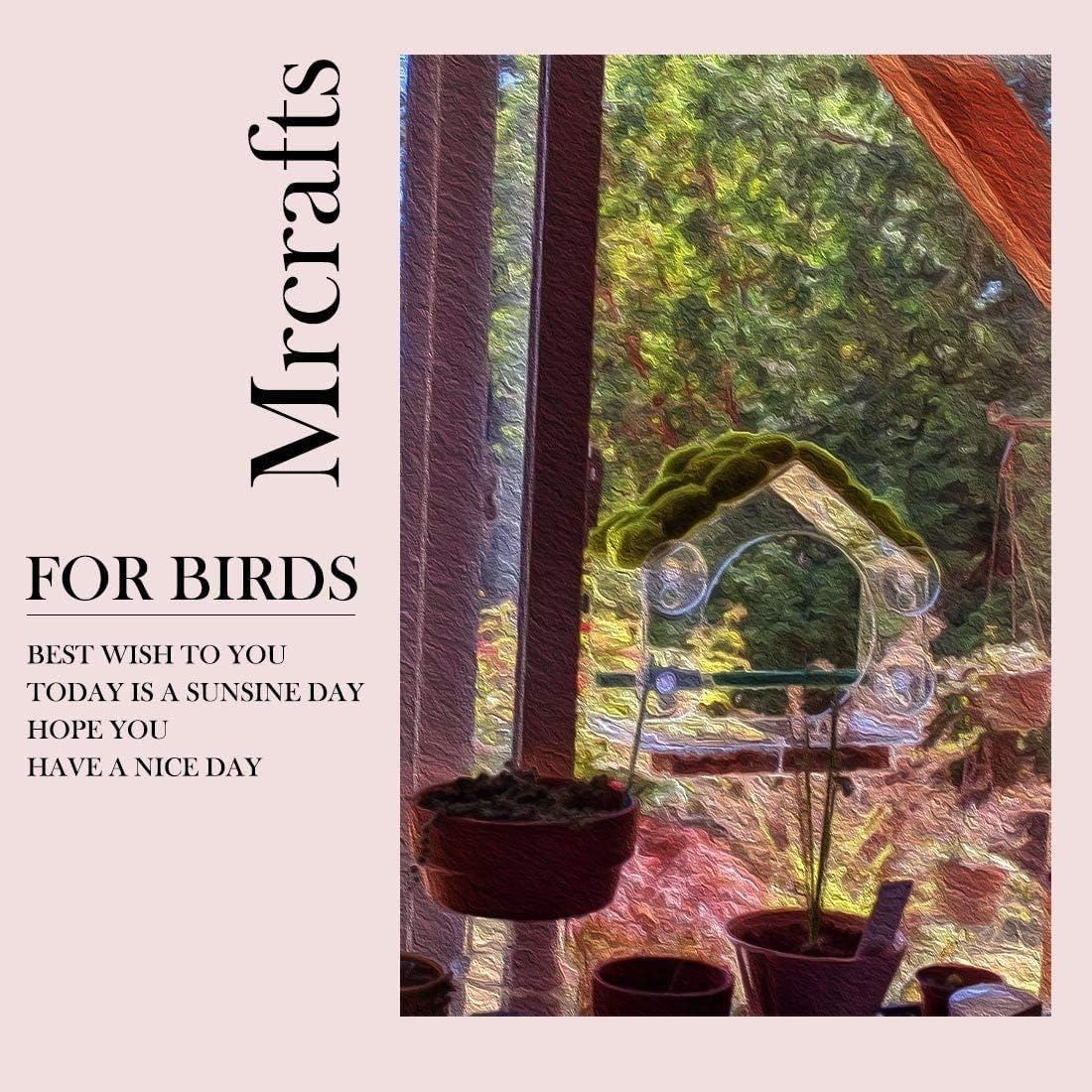 Mrcrafts Samll Window Bird Feeder for Outside, with Strong Suction Cups, Fits for Cardinals, Finches, Chickadees etc