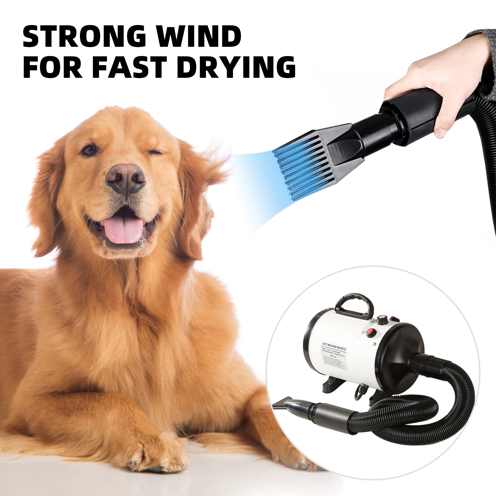 Secador de Pelo Para Perros, 2800 W Low Noise Mascotas Secador Soplador de pelo de Velocidad Continua y Temperatura Ajustable, Profesional Secador Perro con 4 boquillas y manguera larga (Blanco)