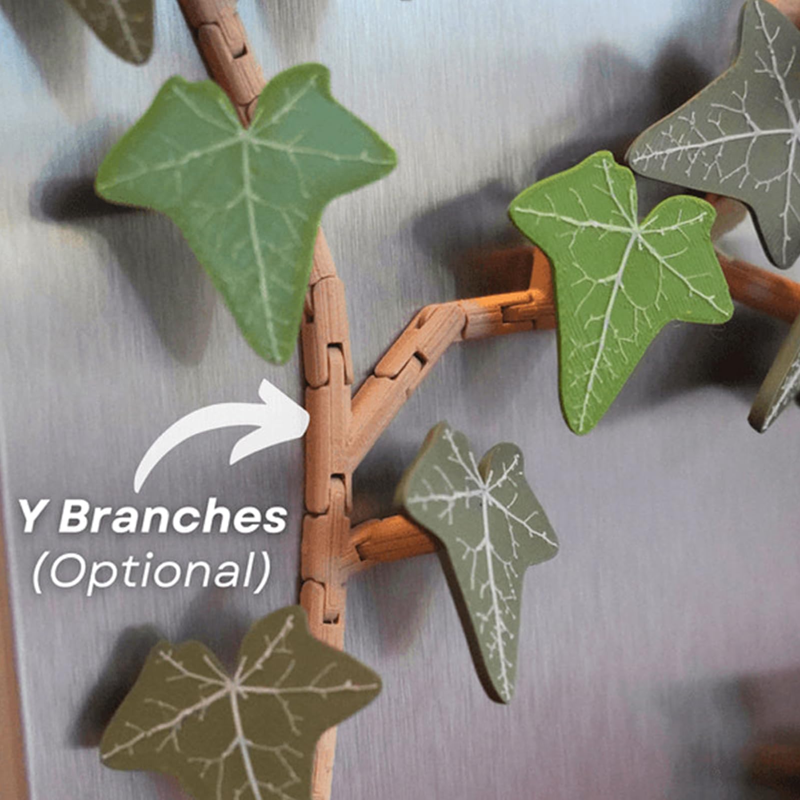 View 6