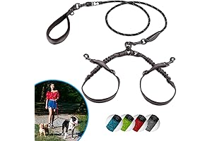 SparklyPets Dual Dog Leash for 2 Small Dogs