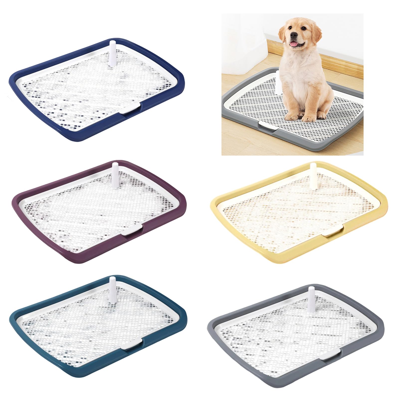 Große Urinierschale für Hunde und Haustiere mit vertikaler Unterstützung für männliche Hunde Heimfreundliches Design, Trainingstoilette für männliche