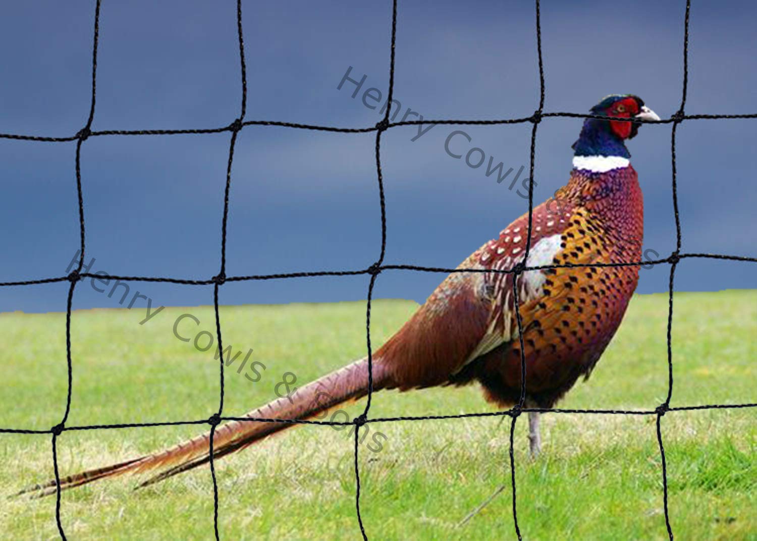 Bird Netting For the Garden/Top Pens 32' X 96' 38mm Anti Pheasant Knotted Mesh 9.7m X 29.2m Heavy Duty Black Net