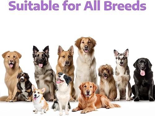 Miniatura 7 de Aceite de pescado para perros, suplemento de tratamiento omega 3 y 6 masticables, ácidos grasos EPA y DHA para picazón en la piel, desprendimiento y