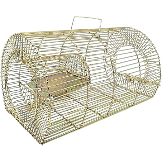Rustic Copper Rat & Mouse Trap Cage