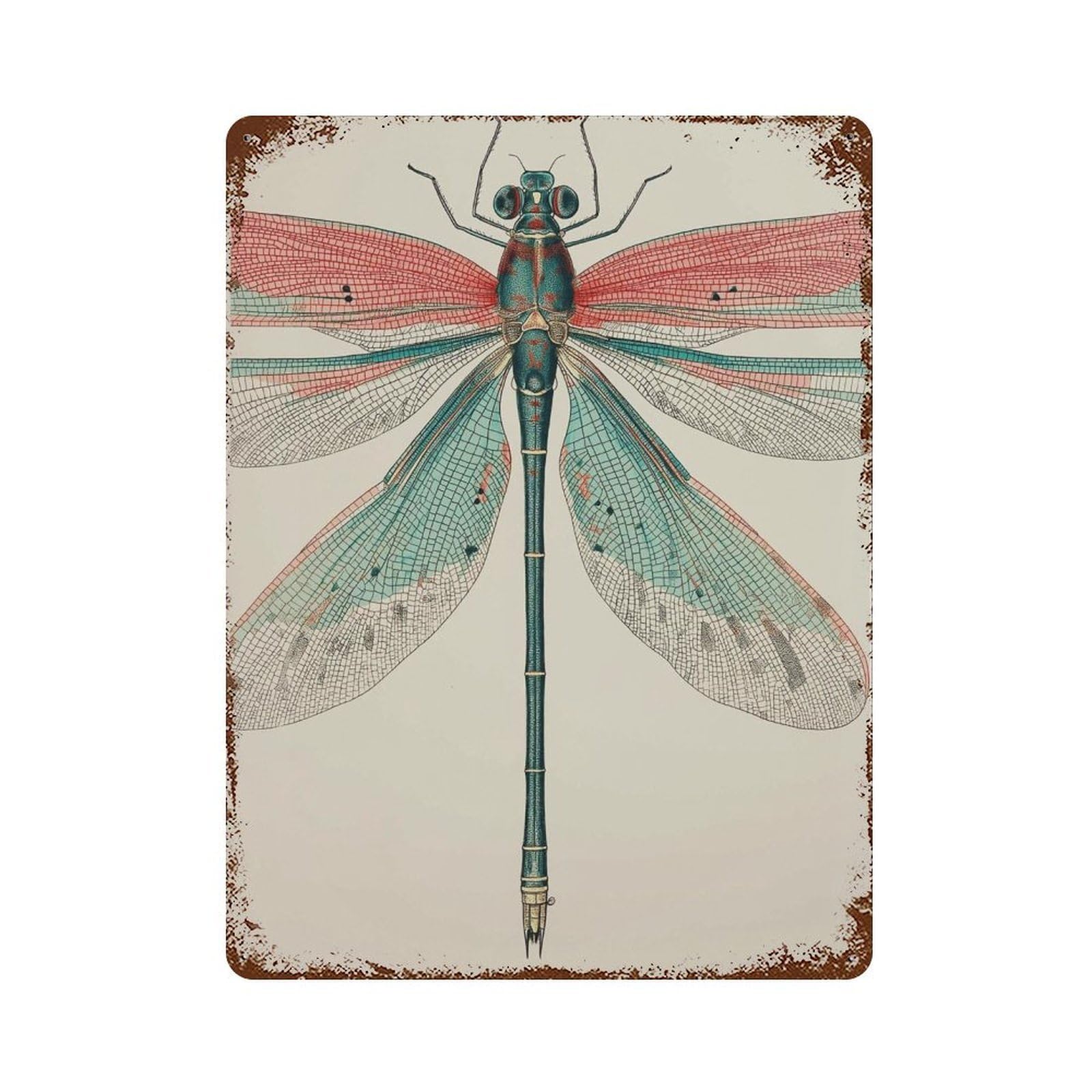 xiaoxiaoshen Dragonfly Insect Botanical Nature Entomology Pastel Wall Decor Art Metal Tin Poster Modern Home Decor Art Home Bar Shop Decorations Vintage Sign 40x30cm