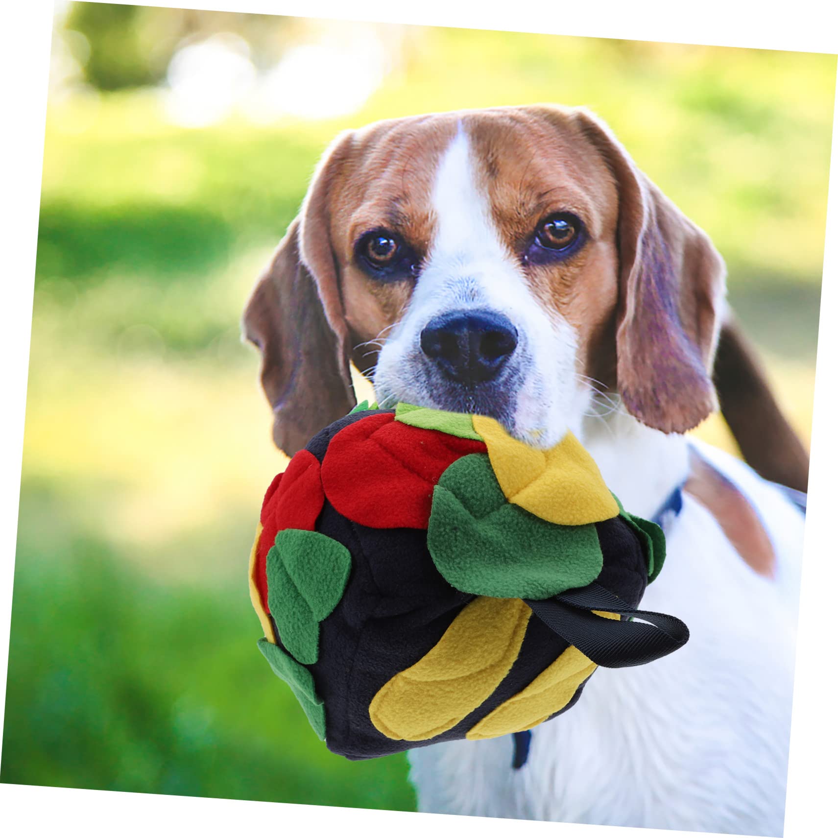 FRCOLOR 2stücke Interaktiver Schnüffelball Für Hunde Futtersnüffelspielzeug Mit Leckereien Langlebig Und Farbenfroh Für Kleine Und Mittelgroße Hunde Fördert Das Fressen Intelligenz