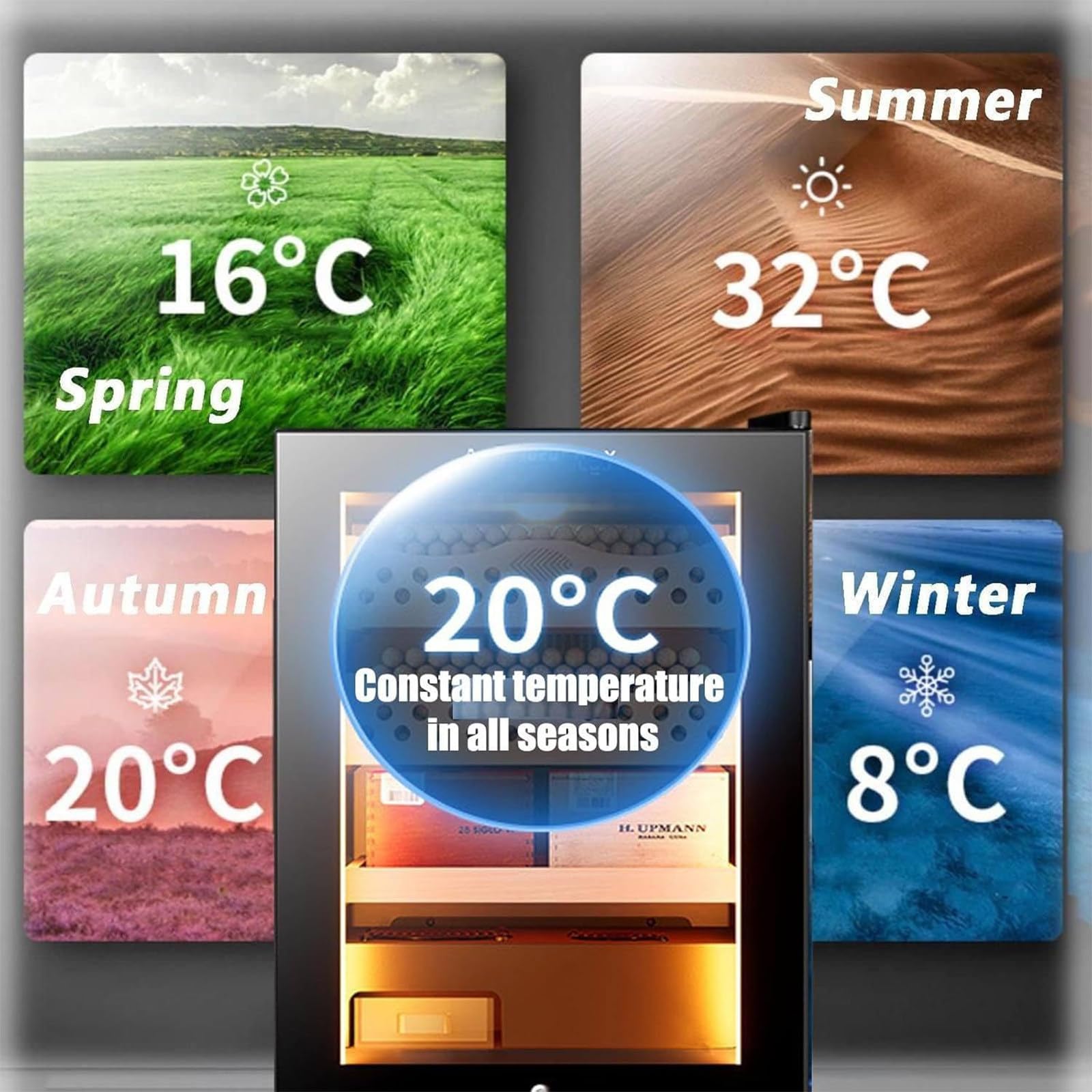 Elektrischer Zigarren- und Weinhumidor mit intelligenter Klimasteuerung, Schublade aus spanischer Zeder, LED-Display und Beleuchtung