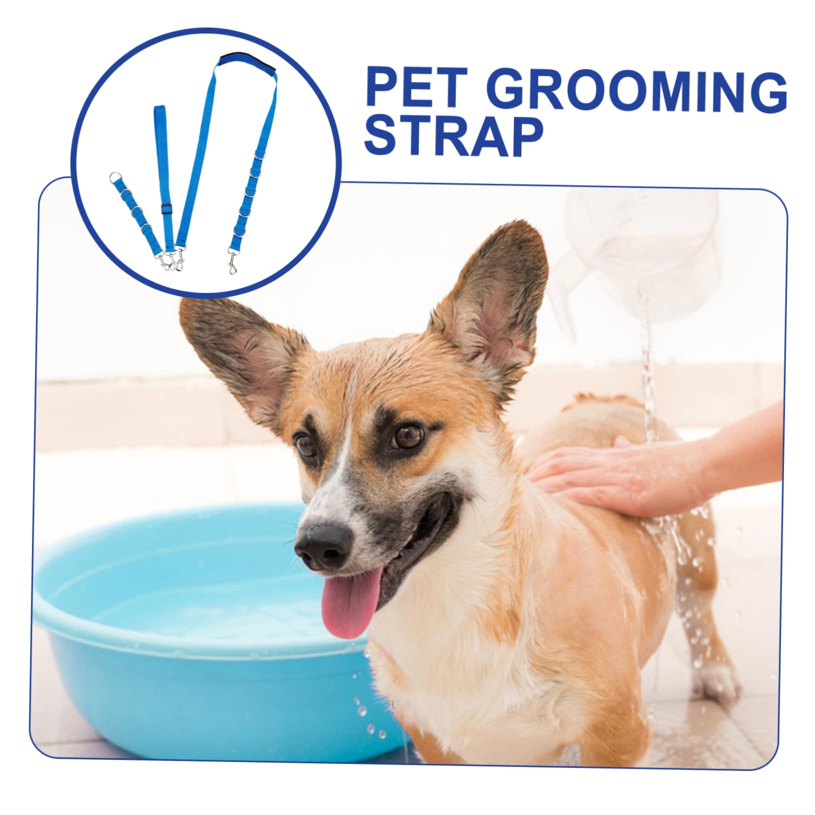BESPORTBLE 15stücke Teiliges Hundezubehör Verstellbaren Gurten Für Fellpflege Sicheres Und Bequemes Grooming Für Hunde Für Haustierpflege Und Badetage
