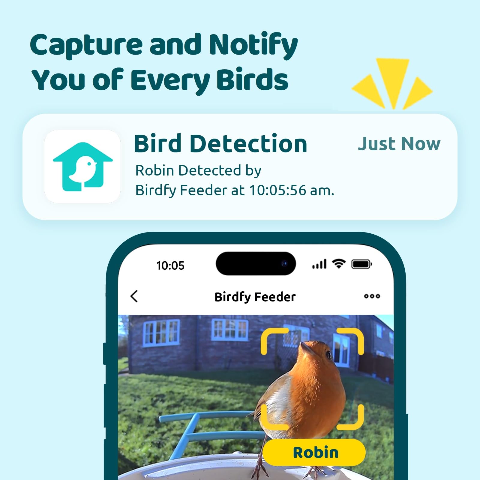 NETVUE Birdfy Smart Vogelfutterhaus mit Kamera, Automatische Aufnahme & Speichern von Vogelvideos, Vogelbeobachtungskamera mit Klarer Nachtsicht