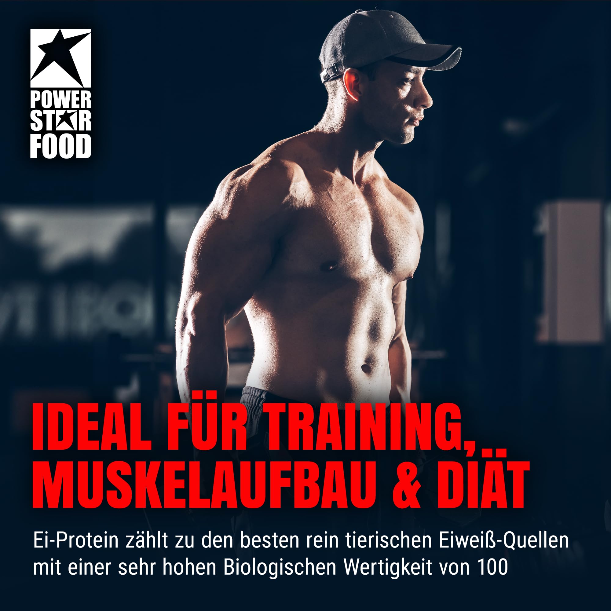 Powerstar Egg Amino Aminosäuren 500 Tabletten - 1000mg Ei-Albumin Tablette | Eiweiß Albumin für Training und Muskelaufbau - Amino Säuren Kapseln laktosefrei und glutenfrei - Hohe Biologische Wertigkeit