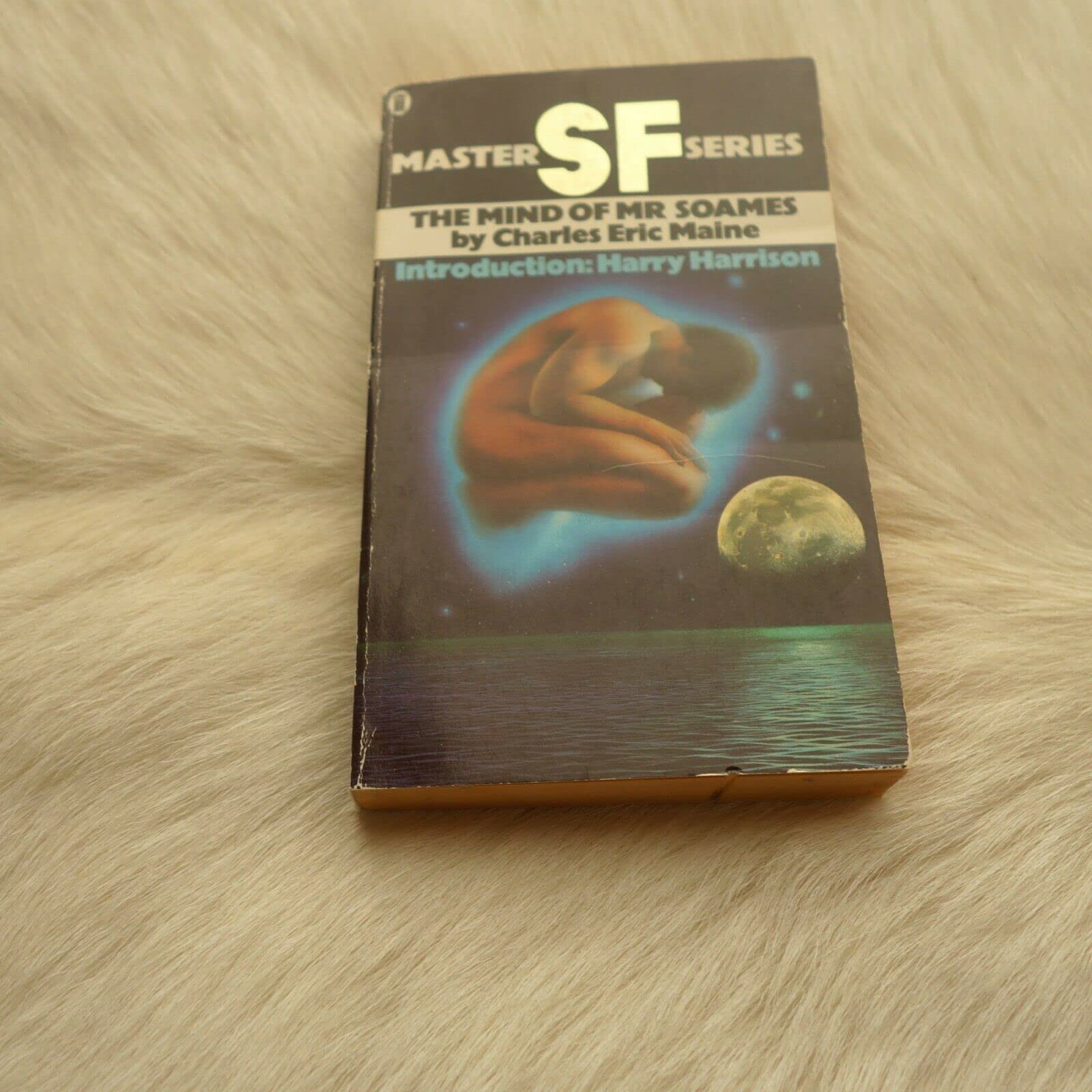 Buy Mind of Mr. Soames — BookShops.in