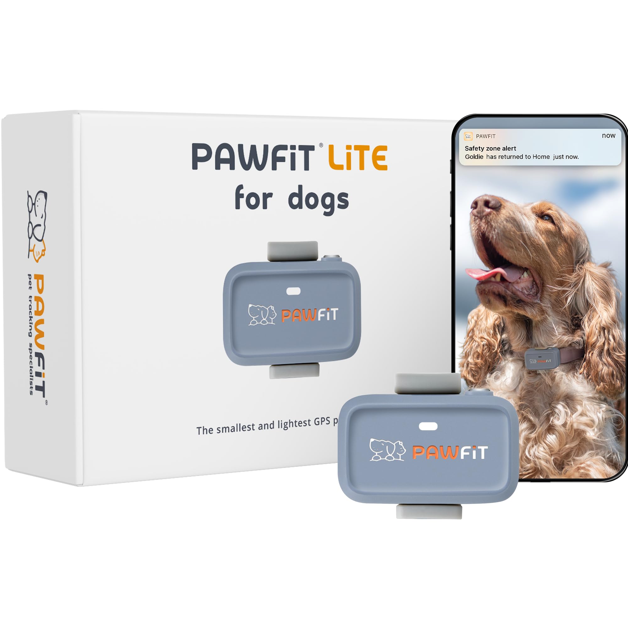 Pawfit Localizzatore GPS Lite per cani di piccola taglia, 4 g, monitoraggio in tempo reale, monitoraggio attività, cronologia delle posizioni, portata illimitata, grigio lilla