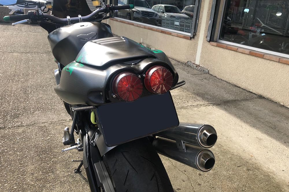 aVDB-moto Coppia Vetro Stop Luce Posteriore Compatibile con APRILIA Tuono 1000 RP 2001-2005, RSV 1000 Mille 1998-2000, RSV 1000 2001-2003 (Fumé Chiaro)