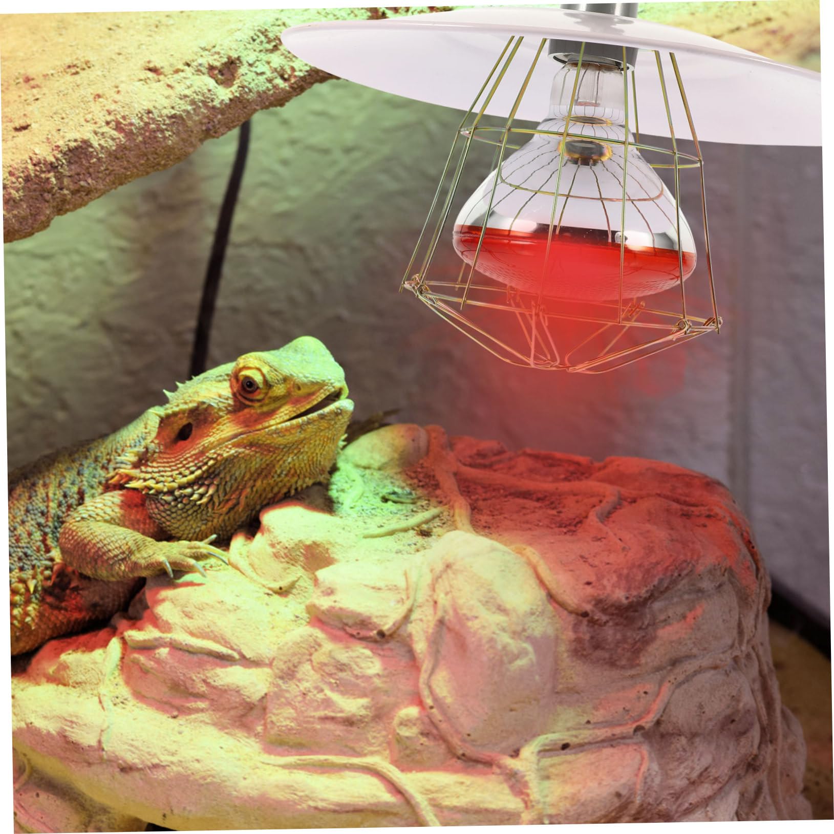 Toddmomy Lampada Riscaldante per Incubatrice Bestiame, Coperchio in Metallo e Alluminio, Resistente alle Alte Temperature, per Gabbia e Recinto Animali