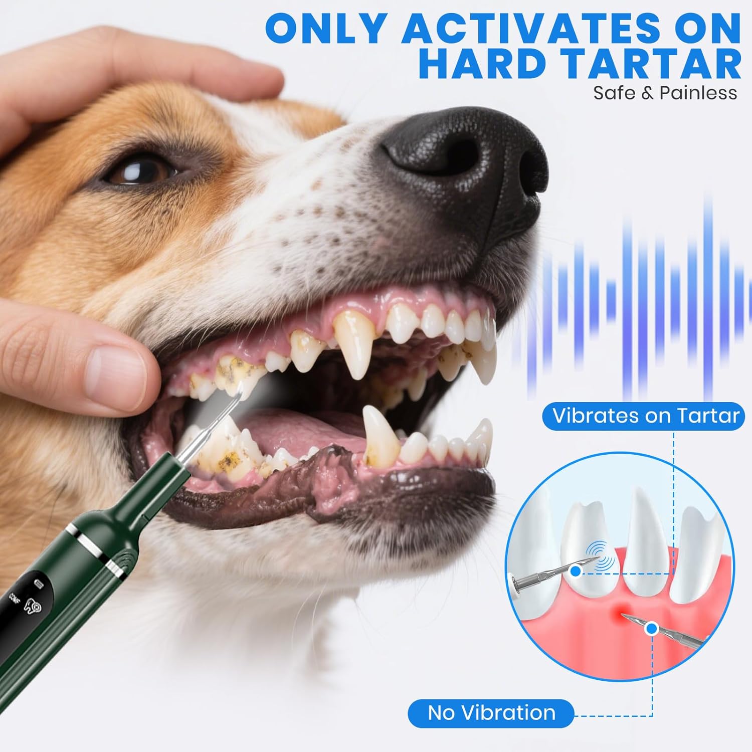 Dog Plaque Remover for Teeth,Pet Ultrasonic Tooth Cleaner with LED Light,Cleaning Kit for Tartar and Stains,5 Adjustable Modes,Pet Teeth Cleaning kit,Suitable for Dogs and Cats (Green)