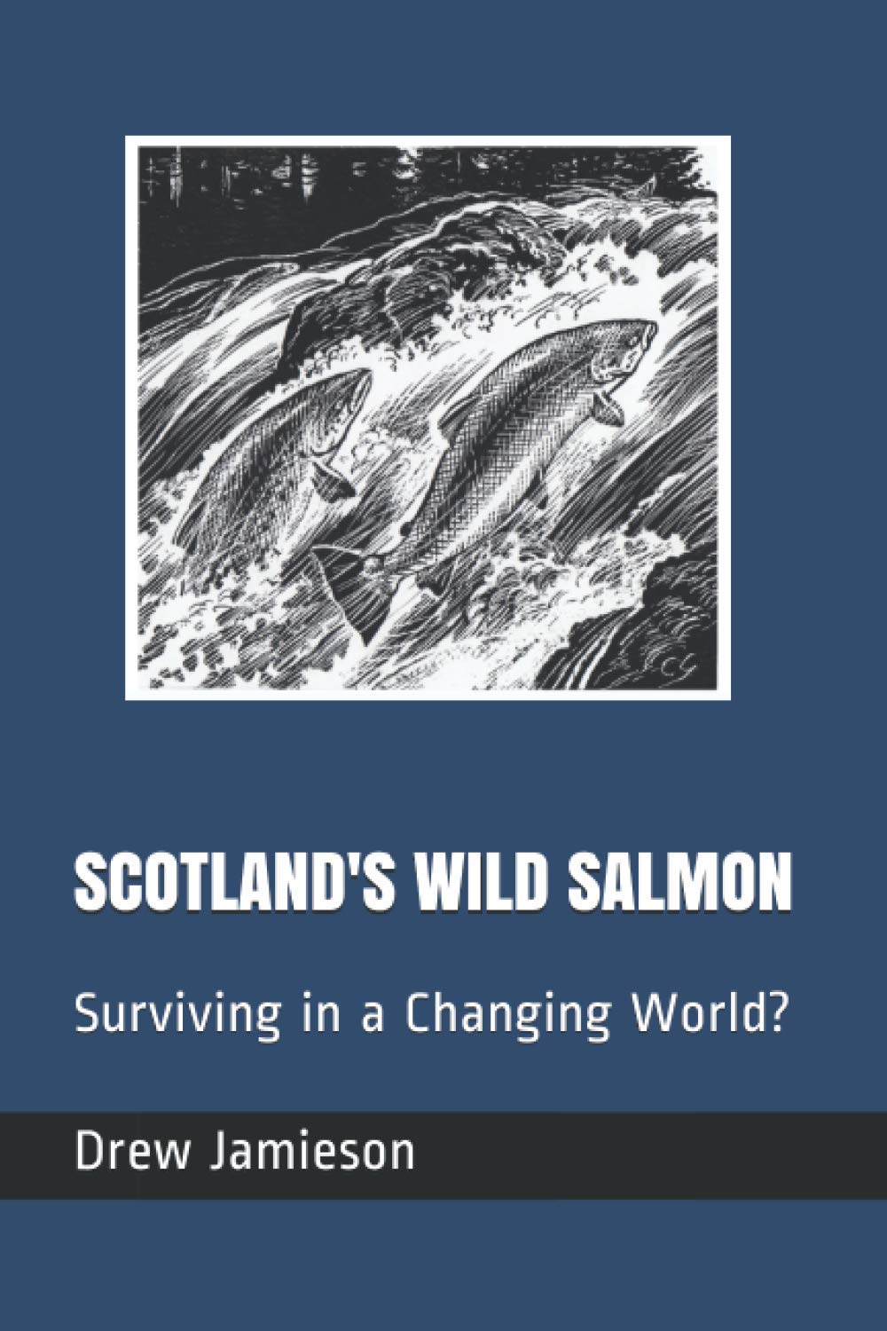 SCOTLAND'S WILD SALMON: Surviving in a Changing World?: 6 (Scotland's Salmon and Trout Fisheries)