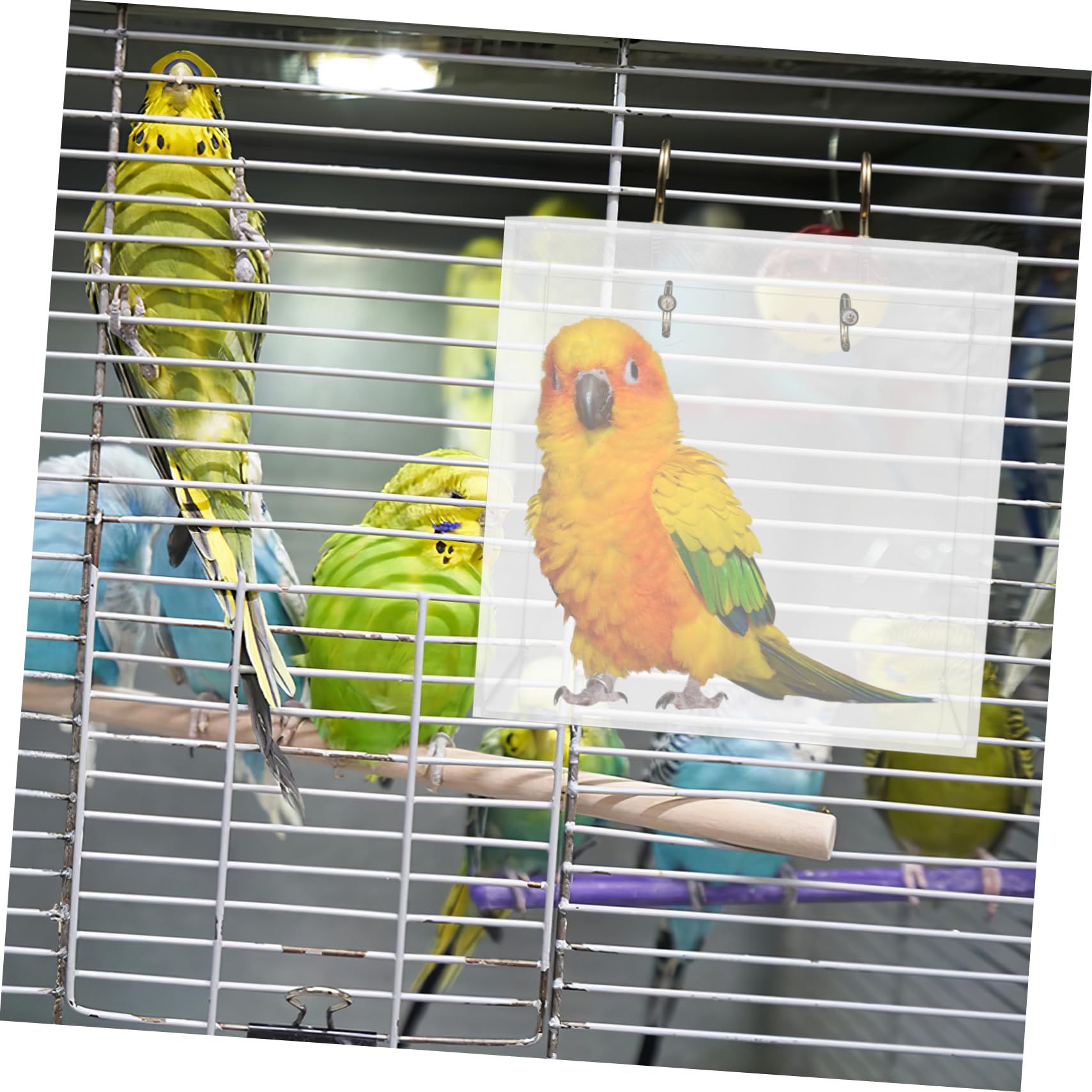 DECOMELODY Compact Bird Bathtub Hanging Design Pet Bird Supply Parrot Bathing Box Easy to