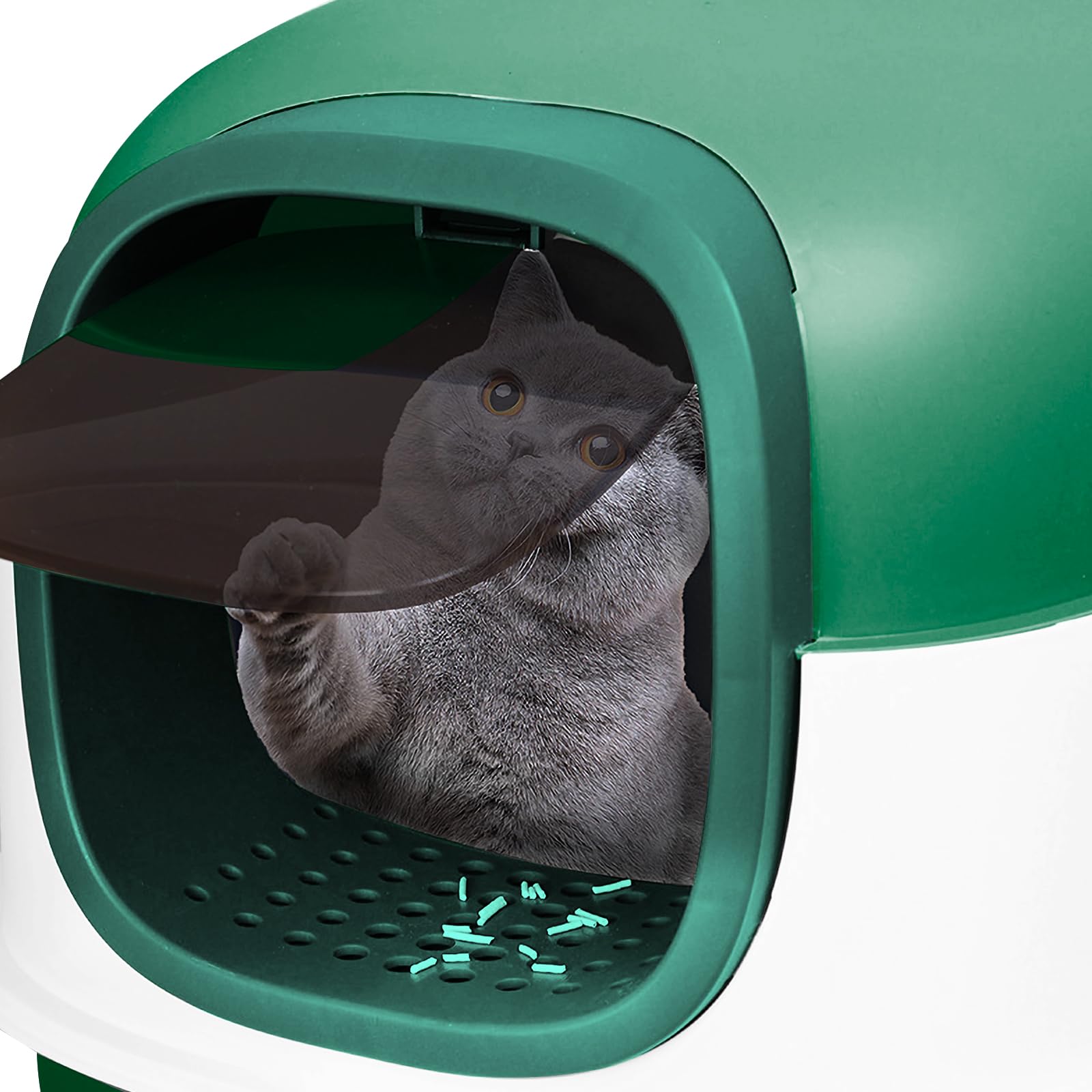 Lettiera per gatti autopulente/lettiera autopulente/casa di toilette per gatto/con confezione deodorante (Top)/ lettiera sterilizzata a raggi ultravioletti (A, verde)