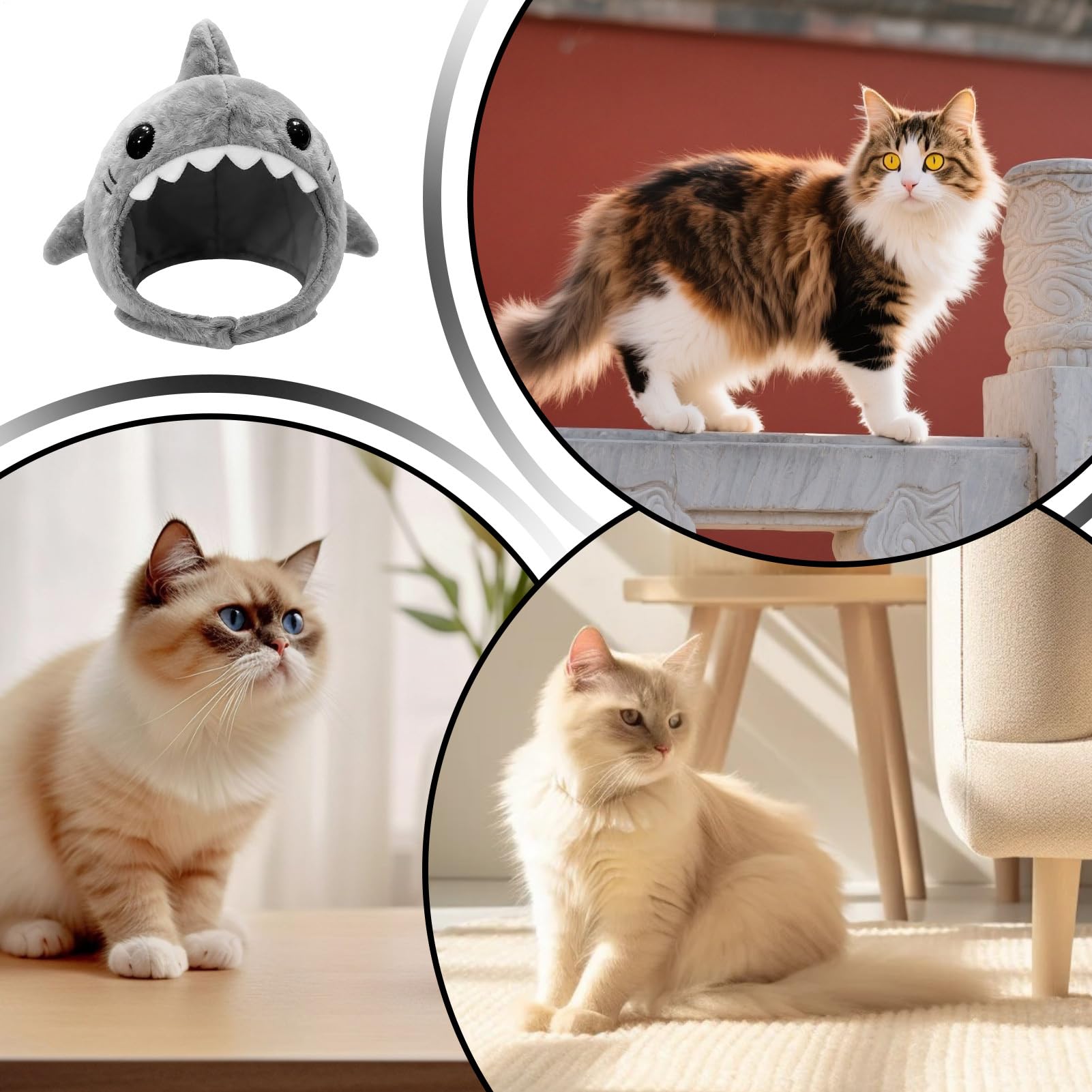 Mignon chapeau de chat - Accessoire de vêtements chaud réglable en forme de requin pour chaton - Bonnet de requin de chat - Pour déguisement fête cosplay événements