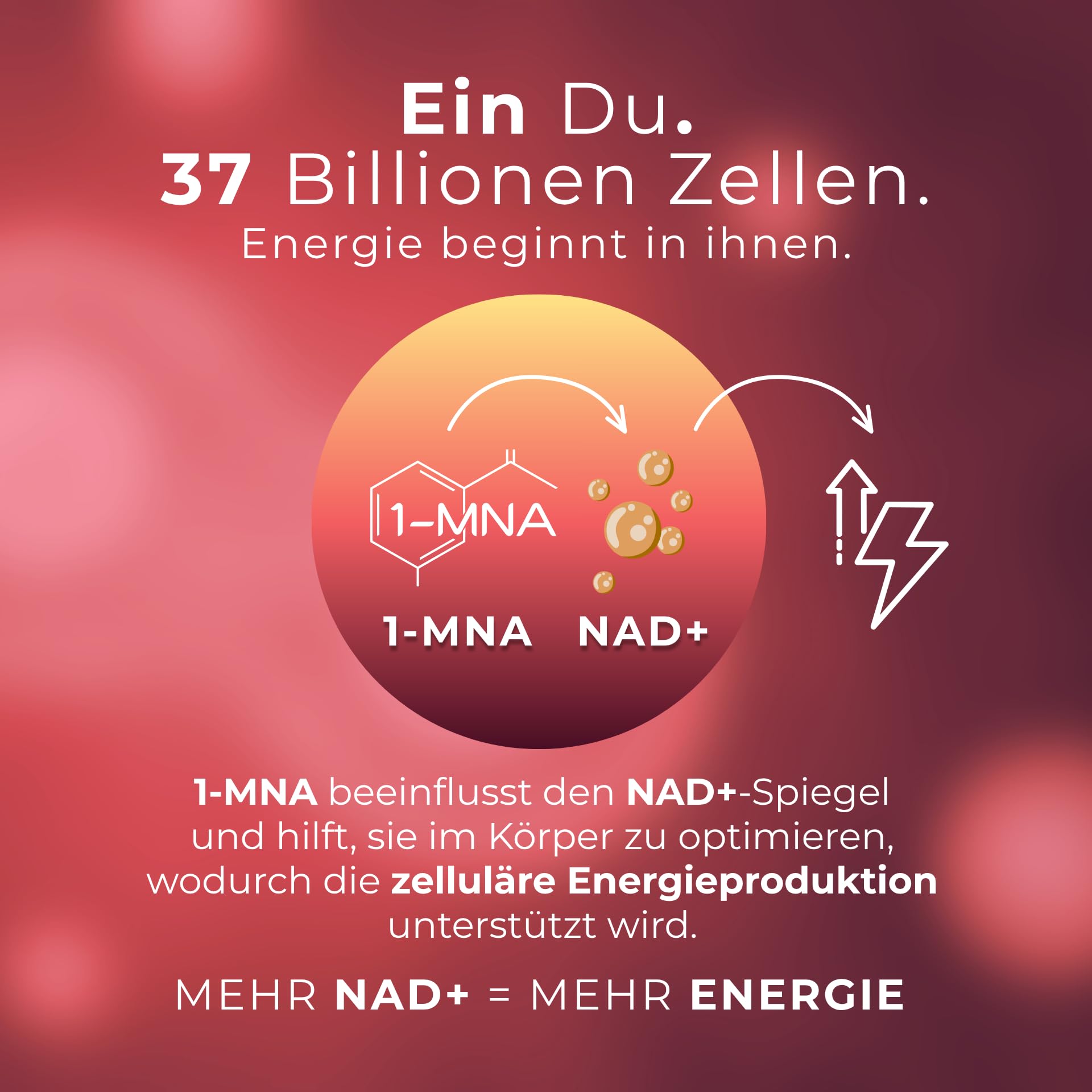 NAD Plus Optimierer mit Trans Resveratrol, 1-MNA und Zink - NAD+ Vorstufen & Polyphenole - Unterstützt Zellvitalität & Energie - Vegan, Glutenfrei, Tägliches Antioxidans - 30 Kapseln