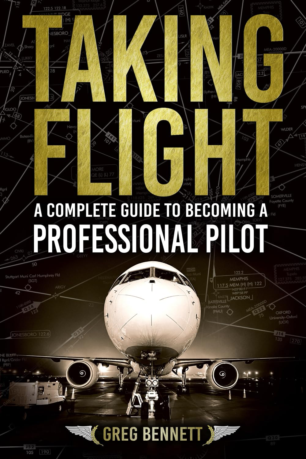 Taking Flight: A Complete Guide to Becoming a Professional Pilot