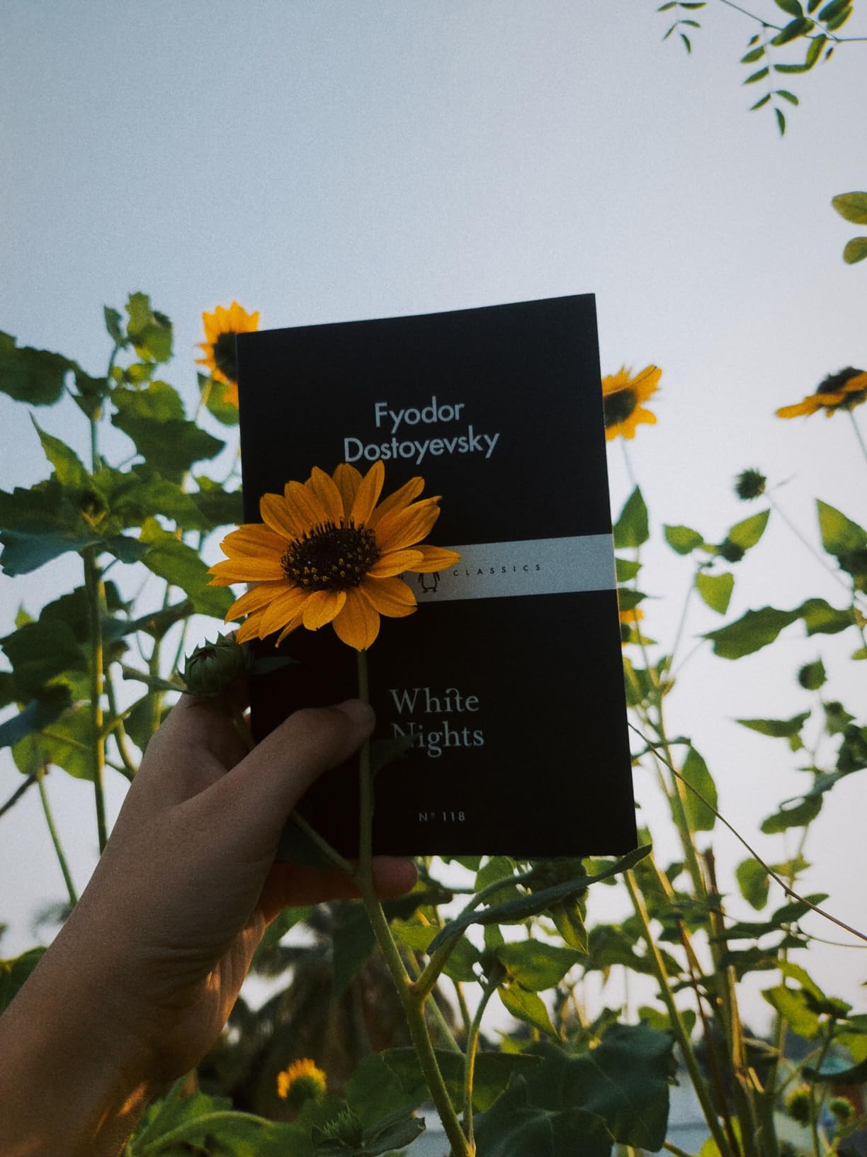 The Night is Darkening Round Me Emily Bronte Amazon.in Books