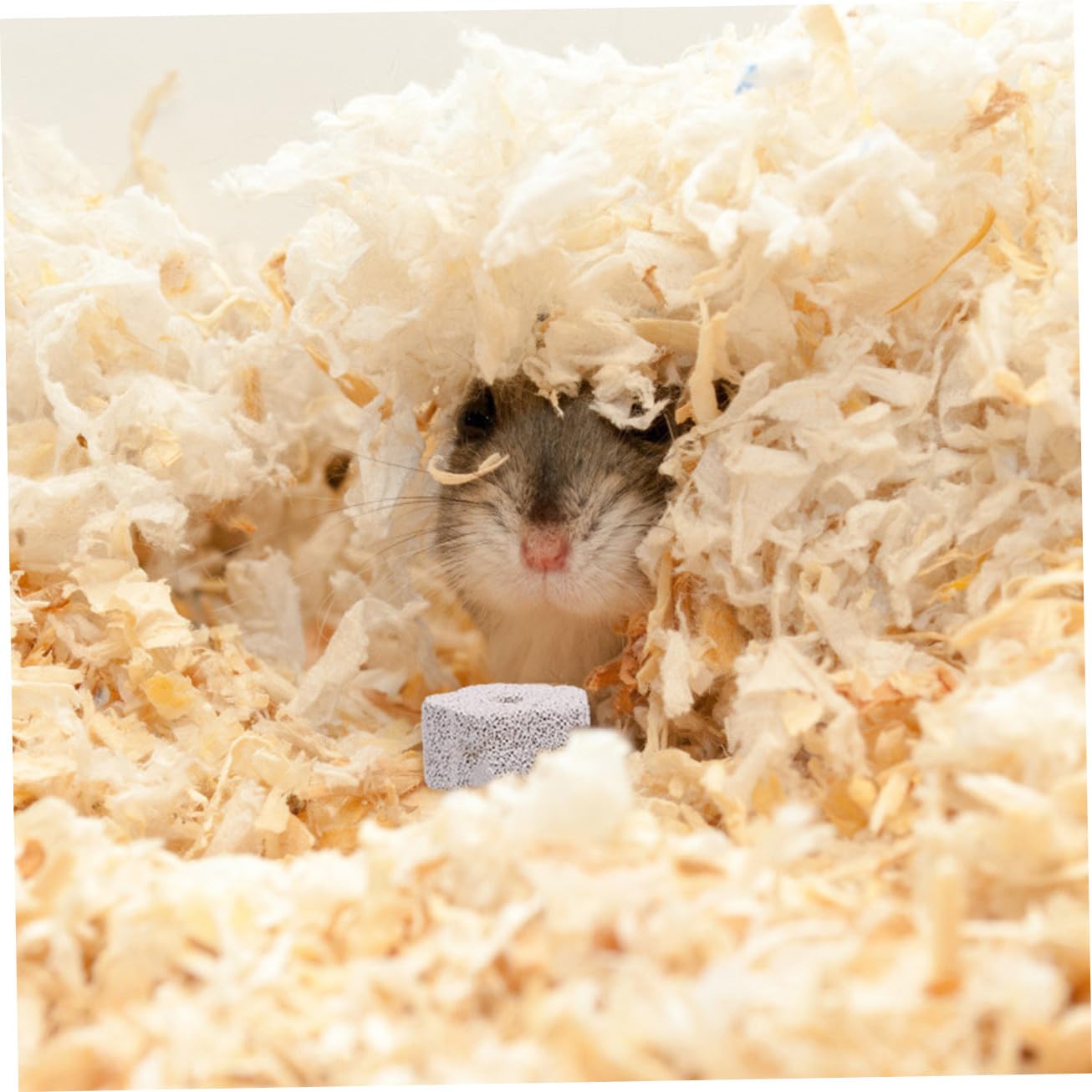 POPETPOP 36stücke Kauspielzeug Für Hamster Und Ratten Fördert Zahngesundheit Natürliche Mineralien Mit Calcium Für Gesunde Zähne Und Spaß Beim
