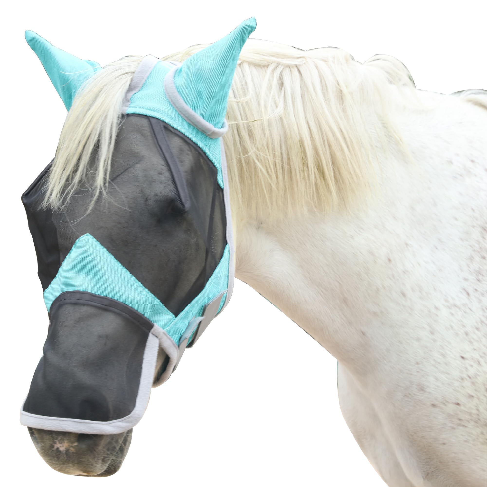 Masque Anti-Mouches pour Chevaux Protection Anti-UV Maille Respirante Turquoise Medium
