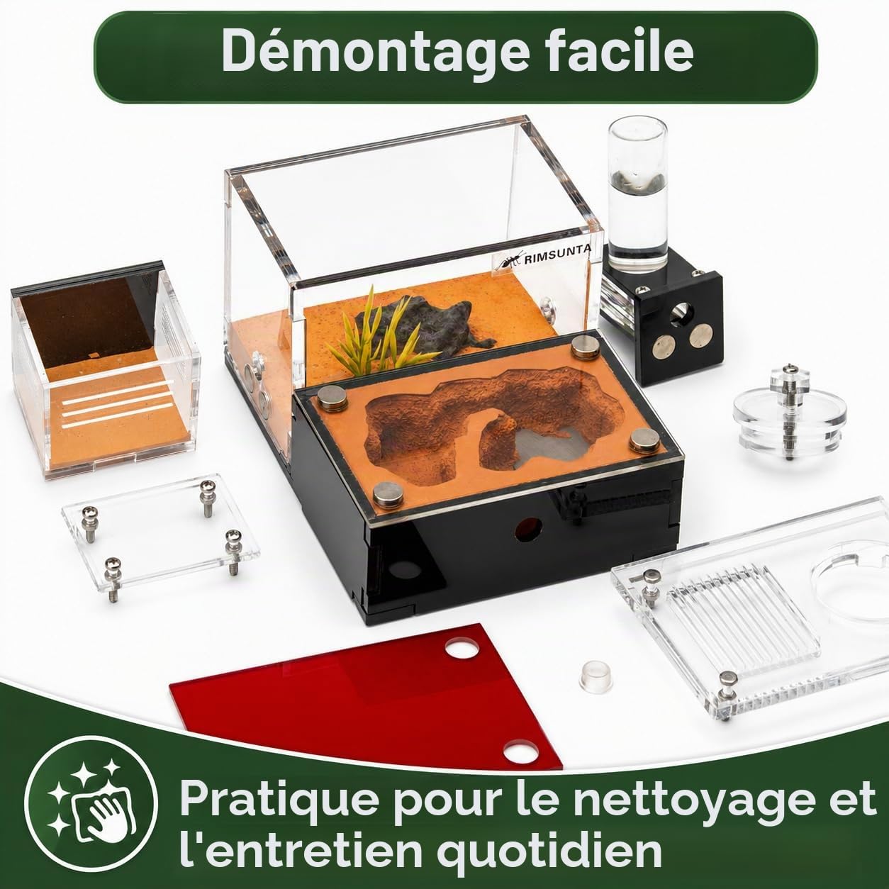 Formicarium Kit Éducatif Habitat de Ferme pour Fourmis Vivantes Reines