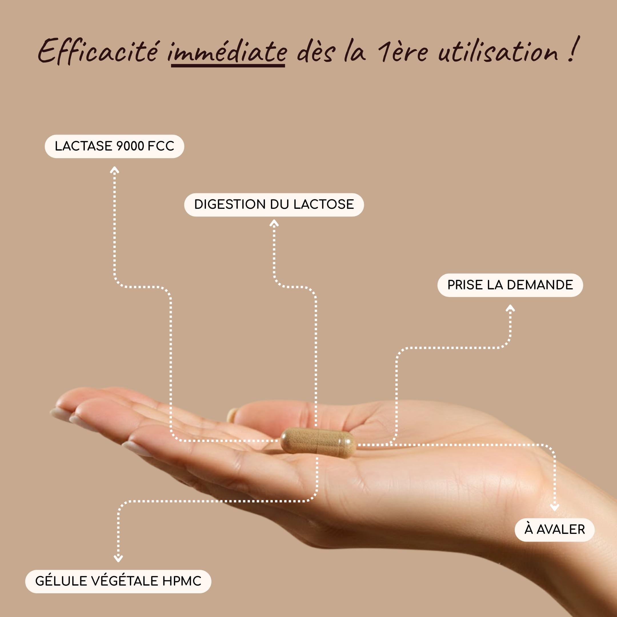 Lactase 9000 FCC Enzymes Digestives 144 Gélules - Complément Alimentaire Intolérance Lactose