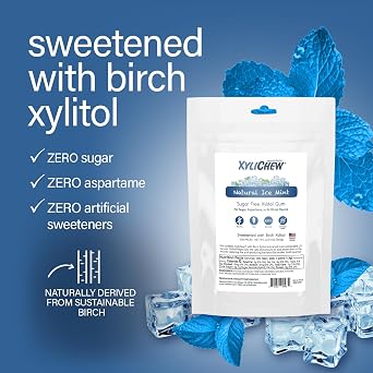Xylichew Xylitol Gum - Sugar Free Chewing Gum - Ice Mint, 500 Count
