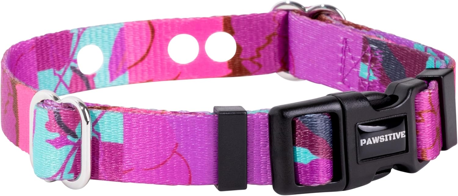 ECollar Replacement Strap Compatible with Major Brands