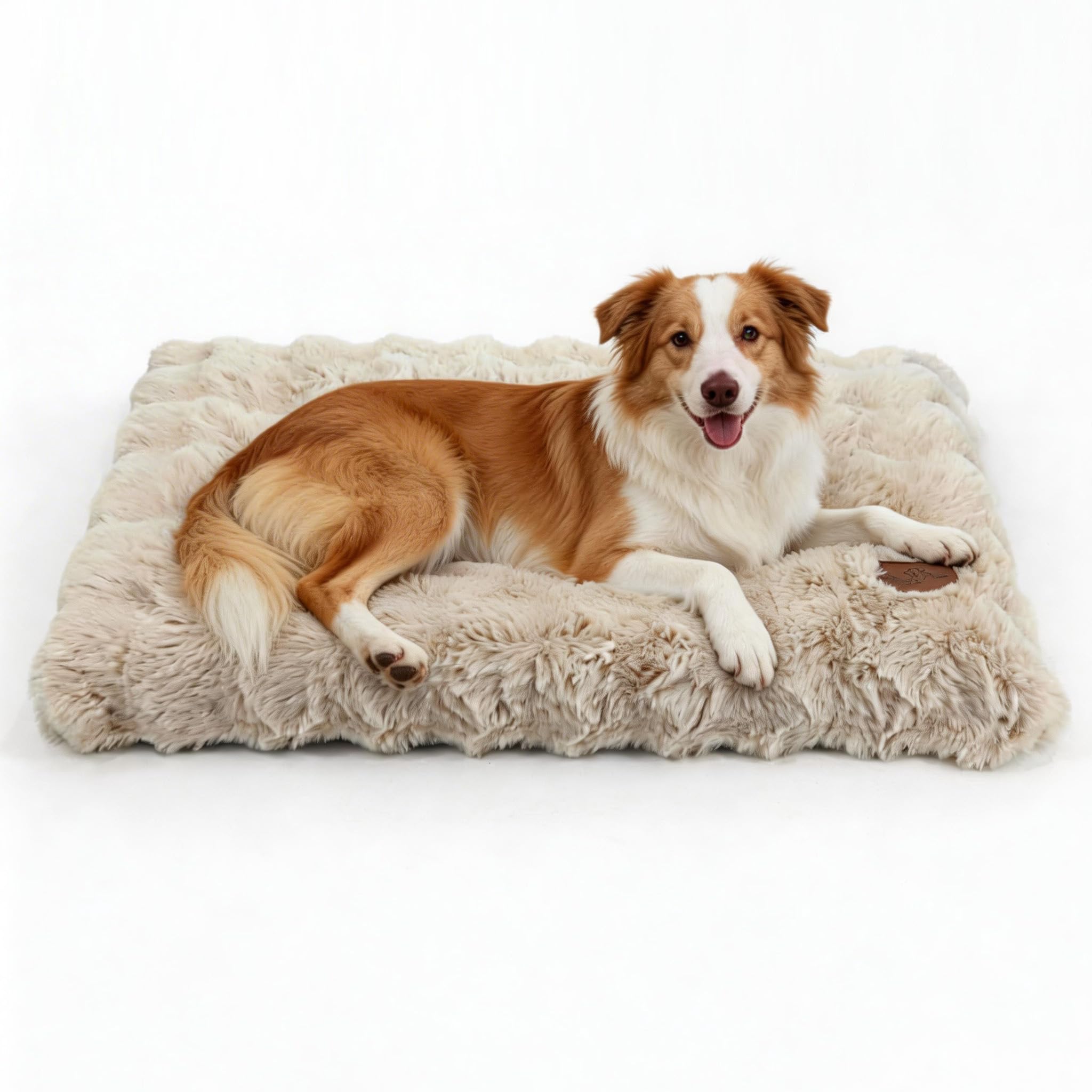 BingoPaw Large Dog Bed 90 x 60 x 10 cm Large Dog Beds Mattress Cushion Large Dog, Machine Washable Mat, Non-Slip Bottom Dog Bed, Beige