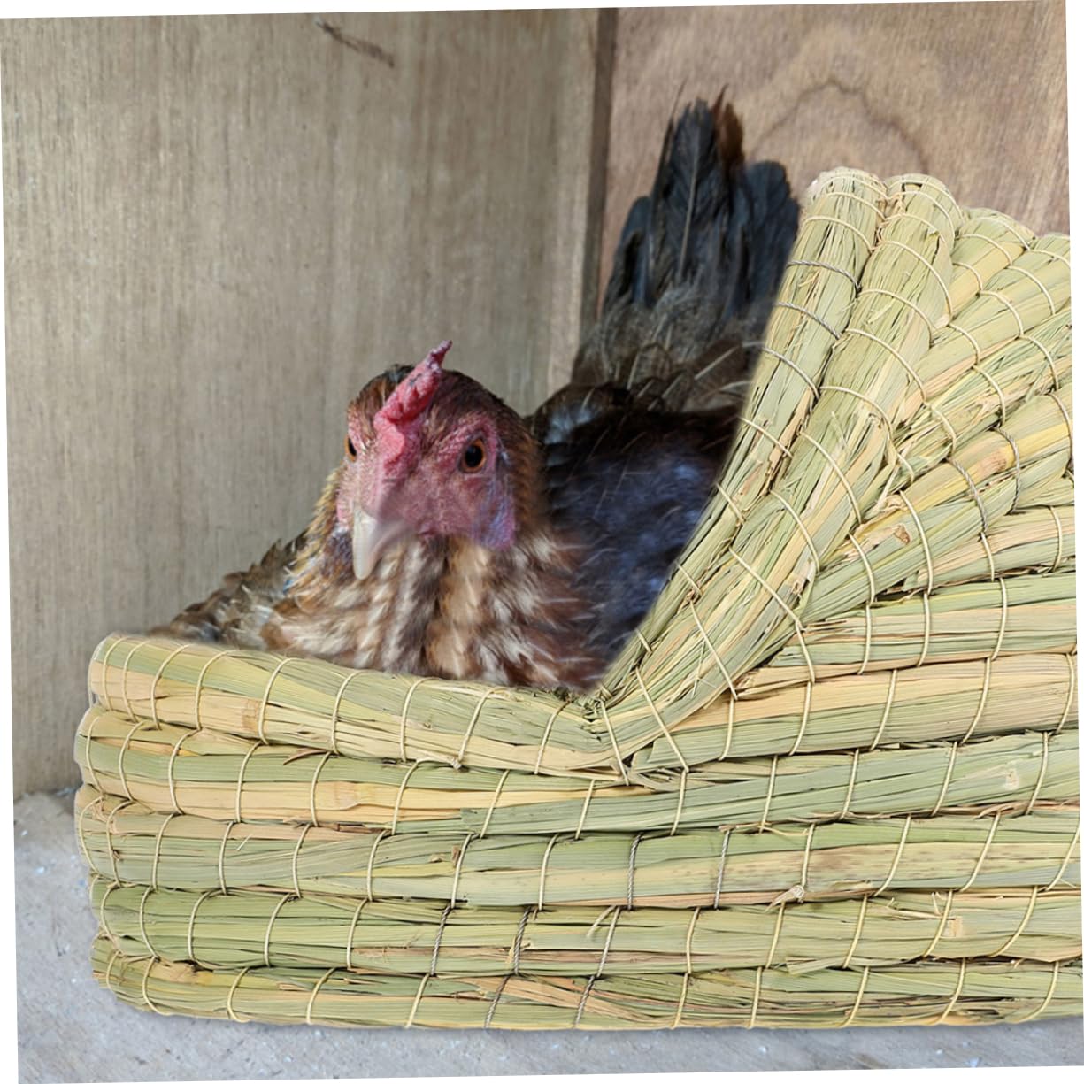 Nido per Galline a Forma di Pantofola in Paglia Intrecciata 2 Pezzi