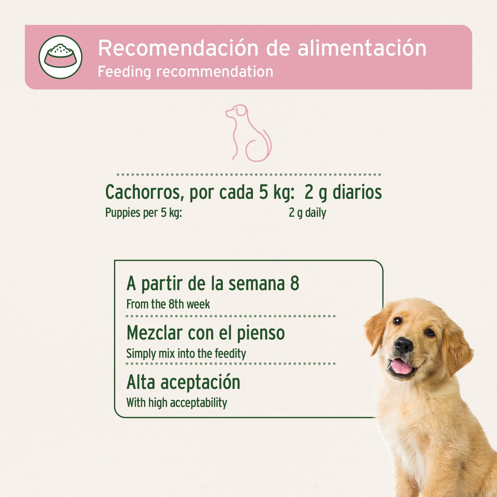 AniForte Junior Active para Cachorros y Perros jóvenes 250g - para el Desarrollo de Huesos, tendones, ligamentos y Dientes. Suplemento para Cachorros con Calcio, vitaminas y minerales