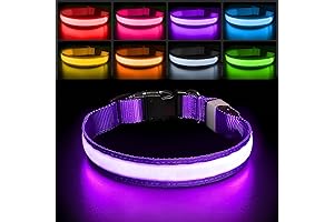 PcEoTllar Light up Dog Collar for Night Walking