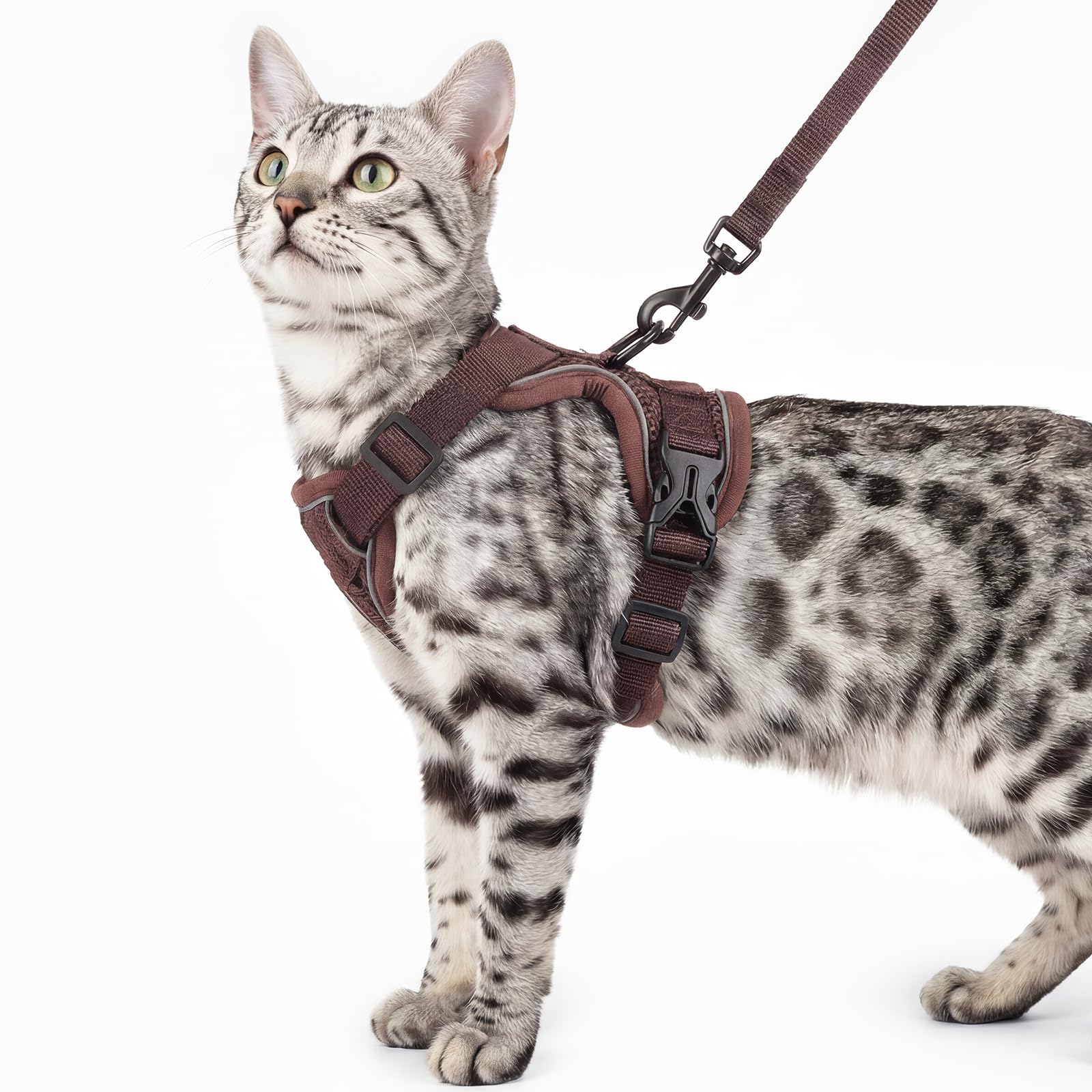 Set di pettorina e guinzaglio per gatti, gilet a prova di fuga | Completamente regolabile, morbida rete traspirante, strisce riflettenti, fibbie a scatto, controllo facile senza tirare