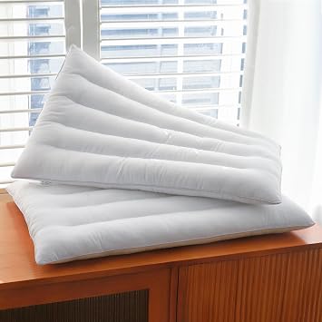 2 Pack Thin Pillow for Stomach and Back Sleeper Low Pillow Flat Bed Pillow Flat Design Pillows Ultra Slim 2.5 Inches Deeper Sleep Pack of 2